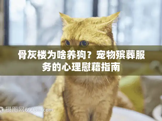 骨灰楼为啥养狗？宠物殡葬服务的心理慰藉指南