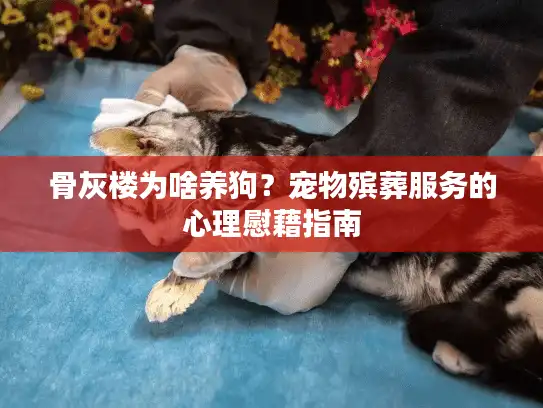 骨灰楼为啥养狗？宠物殡葬服务的心理慰藉指南