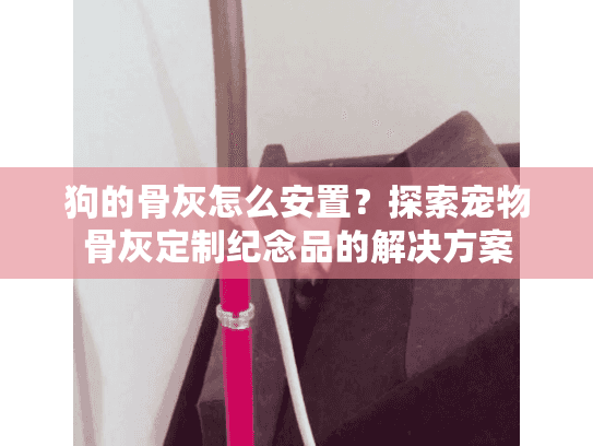 狗的骨灰怎么安置？探索宠物骨灰定制纪念品的解决方案
