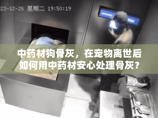 中药材狗骨灰，在宠物离世后如何用中药材安心处理骨灰？