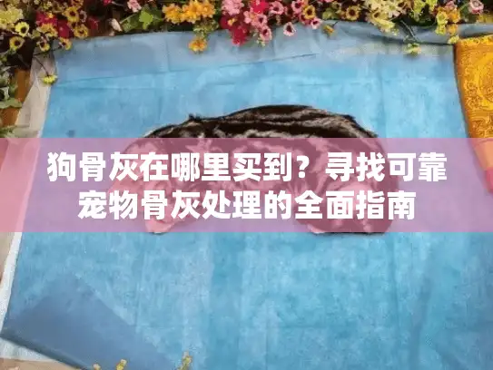 狗骨灰在哪里买到？寻找可靠宠物骨灰处理的全面指南