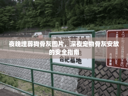 夜晚埋葬狗骨灰图片，深夜宠物骨灰安放的安全指南