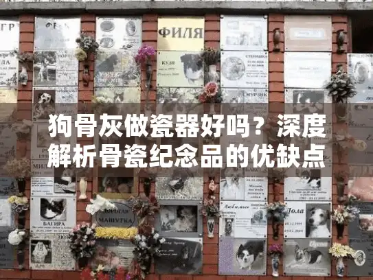 狗骨灰做瓷器好吗？深度解析骨瓷纪念品的优缺点与替代方案