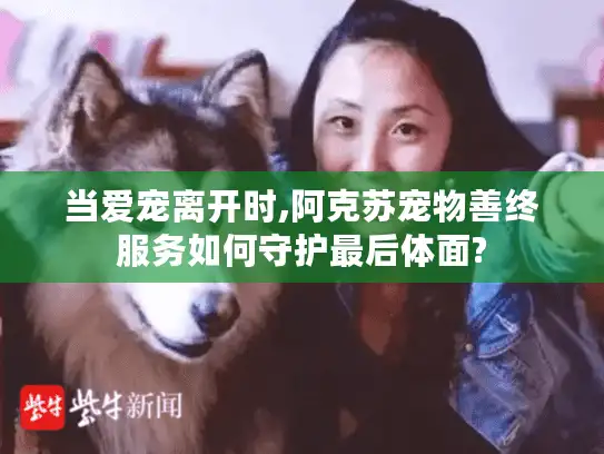 当爱宠离开时,阿克苏宠物善终服务如何守护最后体面?