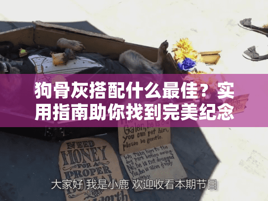狗骨灰搭配什么最佳？实用指南助你找到完美纪念方案
