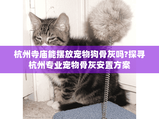 杭州寺庙能摆放宠物狗骨灰吗?探寻杭州专业宠物骨灰安置方案
