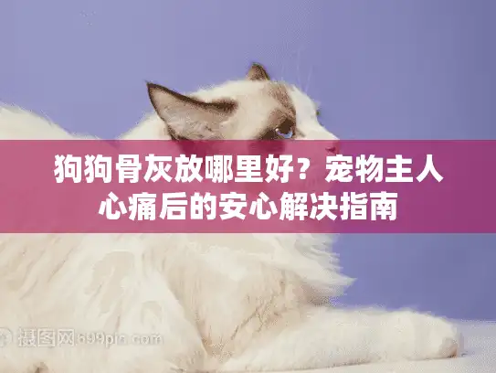 狗狗骨灰放哪里好?宠物主人心痛后的安心解决指南 狗狗骨灰放哪里好?宠物主人心痛后的安心解决指南