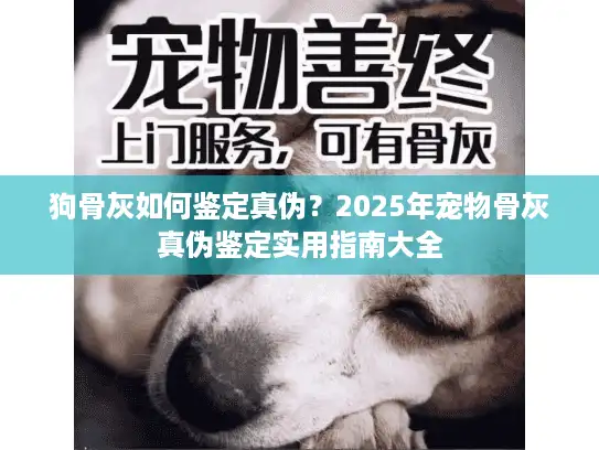 狗骨灰如何鉴定真伪?2025年宠物骨灰真伪鉴定实用指南大全 狗骨灰如何鉴定真伪?2025年宠物骨灰真伪鉴定实用指南大全