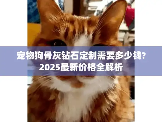 宠物狗骨灰钻石定制需要多少钱?2025最新价格全解析