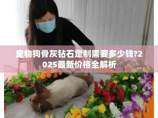 宠物狗骨灰钻石定制需要多少钱?2025最新价格全解析