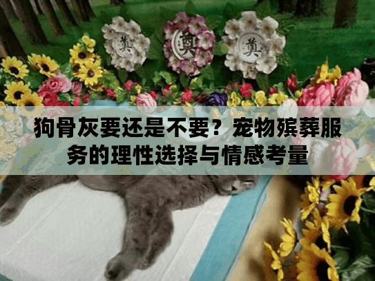 狗骨灰要还是不要？宠物殡葬服务的理性选择与情感考量