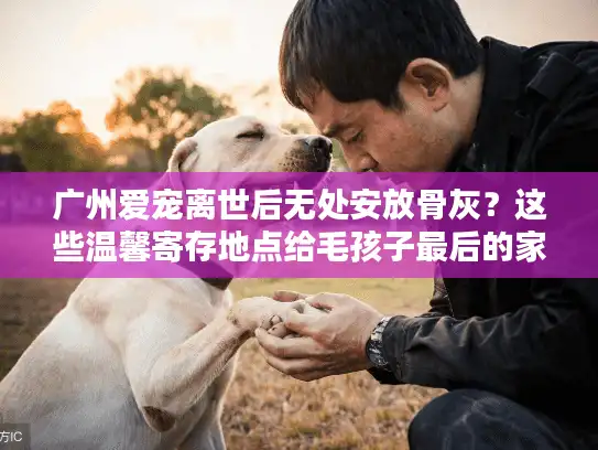 广州爱宠离世后无处安放骨灰？这些温馨寄存地点给毛孩子最后的家