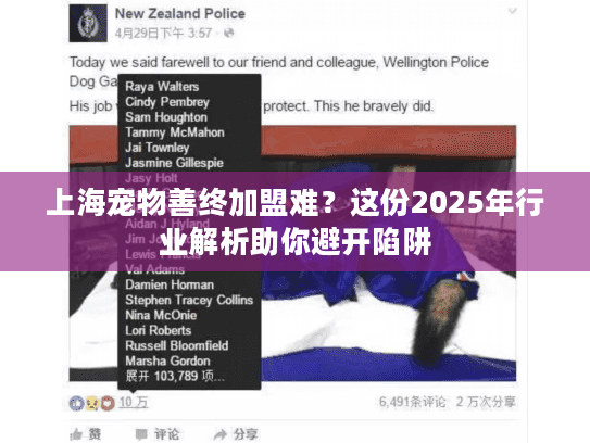 上海宠物善终加盟难?这份2025年行业解析助你避开陷阱 上海宠物善终加盟难?这份2025年行业解析助你避开陷阱