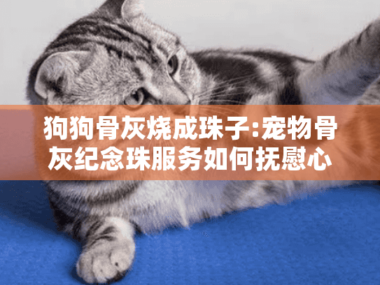 狗狗骨灰烧成珠子:宠物骨灰纪念珠服务如何抚慰心碎的你