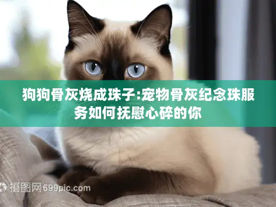 狗狗骨灰烧成珠子:宠物骨灰纪念珠服务如何抚慰心碎的你