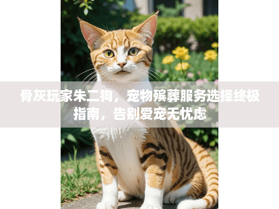骨灰玩家朱二狗，宠物殡葬服务选择终极指南，告别爱宠无忧虑