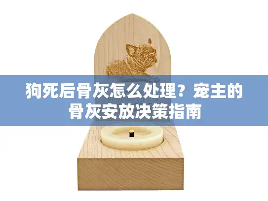 狗死后骨灰怎么处理？宠主的骨灰安放决策指南