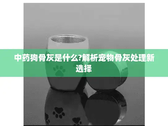 中药狗骨灰是什么?解析宠物骨灰处理新选择