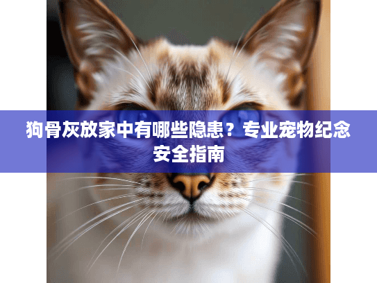 狗骨灰放家中有哪些隐患？专业宠物纪念安全指南