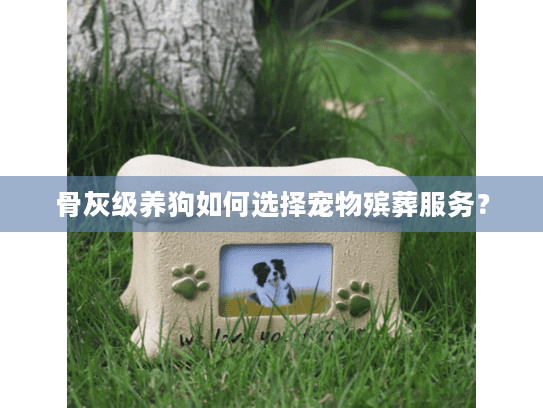 骨灰级养狗如何选择宠物殡葬服务? 骨灰级养狗如何选择宠物殡葬服务?