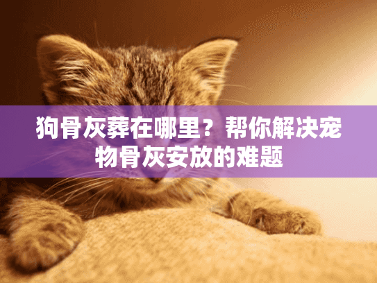 狗骨灰葬在哪里?帮你解决宠物骨灰安放的难题 狗骨灰葬在哪里?帮你解决宠物骨灰安放的难题