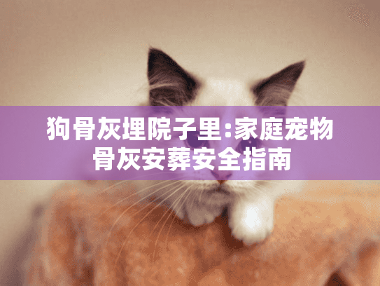 狗骨灰埋院子里:家庭宠物骨灰安葬安全指南