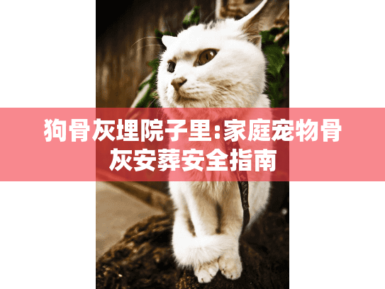 狗骨灰埋院子里:家庭宠物骨灰安葬安全指南