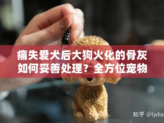 痛失爱犬后大狗火化的骨灰如何妥善处理？全方位宠物殡葬服务指南