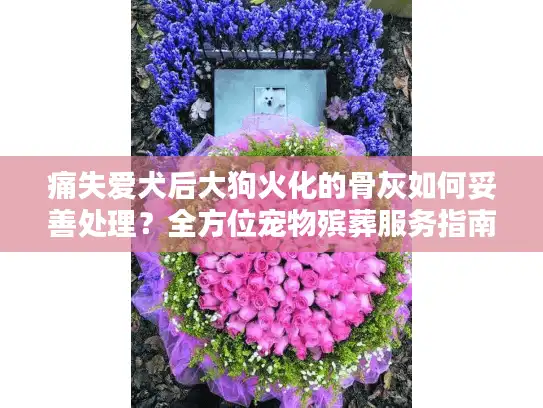 痛失爱犬后大狗火化的骨灰如何妥善处理？全方位宠物殡葬服务指南