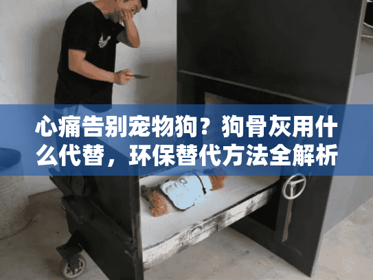 心痛告别宠物狗?狗骨灰用什么代替,环保替代方法全解析 心痛告别宠物狗?狗骨灰用什么代替,环保替代方法全解析