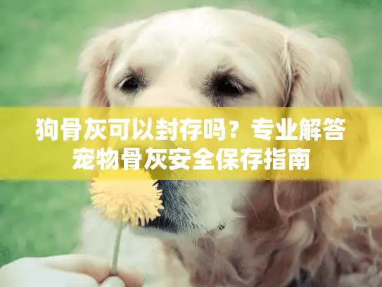 狗骨灰可以封存吗?专业解答宠物骨灰安全保存指南 狗骨灰可以封存吗?专业解答宠物骨灰安全保存指南
