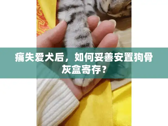 痛失爱犬后，如何妥善安置狗骨灰盒寄存？