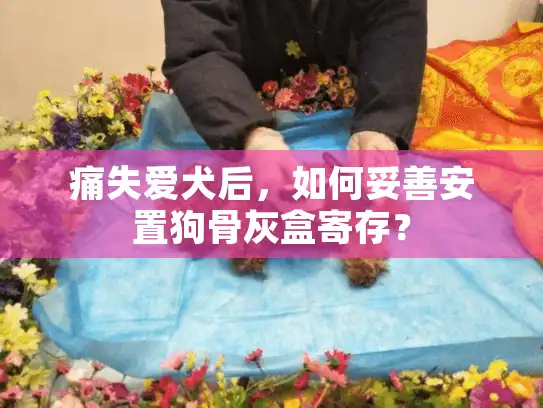 痛失爱犬后，如何妥善安置狗骨灰盒寄存？