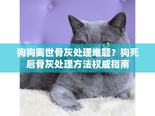狗狗离世骨灰处理难题？狗死后骨灰处理方法权威指南