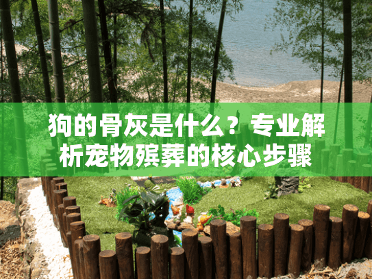狗的骨灰是什么？专业解析宠物殡葬的核心步骤