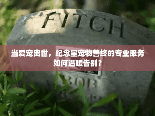 当爱宠离世，纪念星宠物善终的专业服务如何温暖告别？