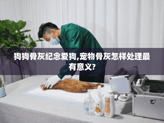 狗狗骨灰纪念爱狗,宠物骨灰怎样处理最有意义?