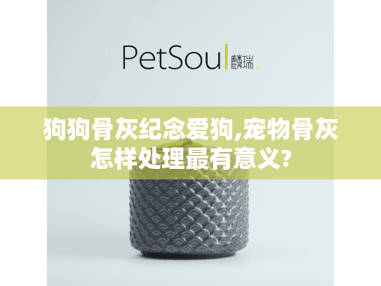 狗狗骨灰纪念爱狗,宠物骨灰怎样处理最有意义?