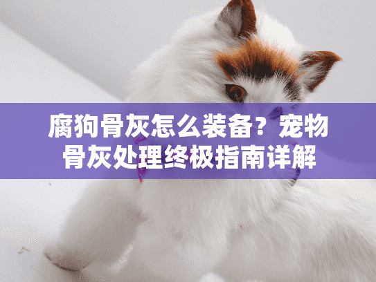 腐狗骨灰怎么装备?宠物骨灰处理终极指南详解 腐狗骨灰怎么装备?宠物骨灰处理终极指南详解