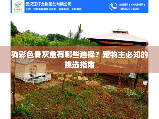 狗彩色骨灰盒有哪些选择？宠物主必知的挑选指南