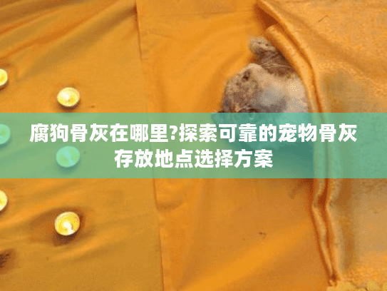 腐狗骨灰在哪里?探索可靠的宠物骨灰存放地点选择方案