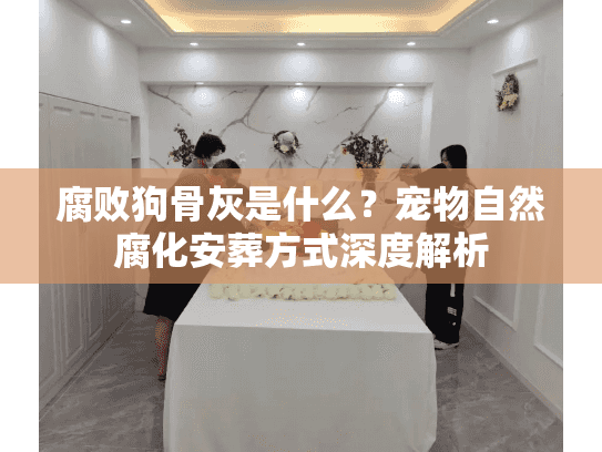 腐败狗骨灰是什么？宠物自然腐化安葬方式深度解析