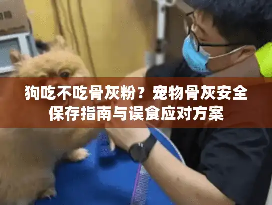 狗吃不吃骨灰粉？宠物骨灰安全保存指南与误食应对方案