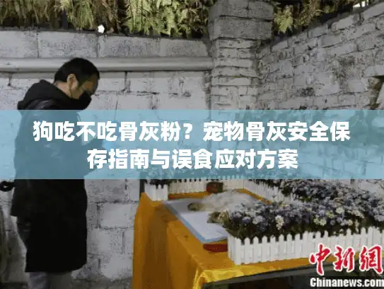 狗吃不吃骨灰粉？宠物骨灰安全保存指南与误食应对方案