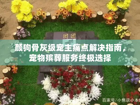 颜狗骨灰级宠主痛点解决指南，宠物殡葬服务终极选择