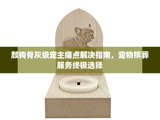 颜狗骨灰级宠主痛点解决指南，宠物殡葬服务终极选择