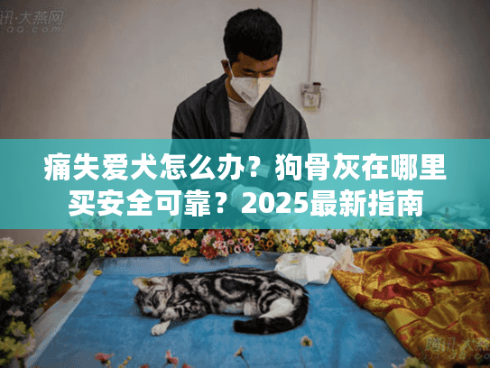 痛失爱犬怎么办？狗骨灰在哪里买安全可靠？2025最新指南