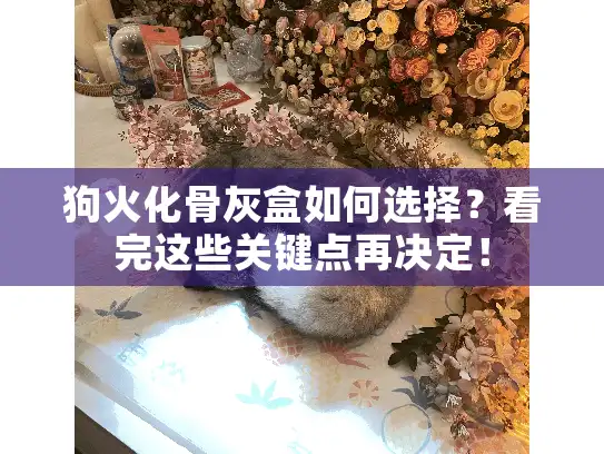 狗火化骨灰盒如何选择?看完这些关键点再决定! 狗火化骨灰盒如何选择?看完这些关键点再决定!