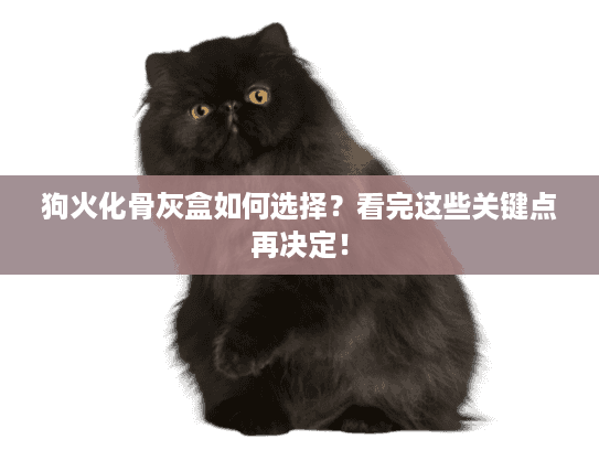 狗火化骨灰盒如何选择?看完这些关键点再决定! 狗火化骨灰盒如何选择?看完这些关键点再决定!