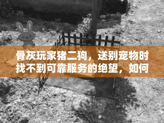 骨灰玩家猪二狗，送别宠物时找不到可靠服务的绝望，如何解决？